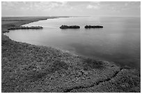 Aerial view of mangrove coast in islets. Biscayne National Park ( black and white)