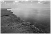 Aerial view of mainland mangrove coast. Biscayne National Park ( black and white)