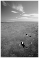 Snorkelers over a coral reef. Biscayne National Park, Florida, USA. (black and white)