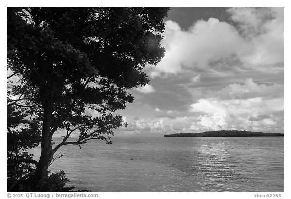 Sands Key across Lewis Cut from Boca Chita Key. Biscayne National Park (black and white)