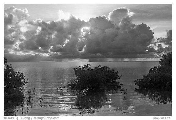 Honeywell estate interpretive sign, Boca Chita Key. Biscayne National Park (black and white)