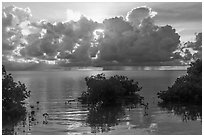 Honeywell estate interpretive sign, Boca Chita Key. Biscayne National Park ( black and white)