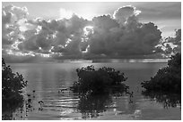 Honeywell estate interpretive sign, Boca Chita Key. Biscayne National Park ( black and white)