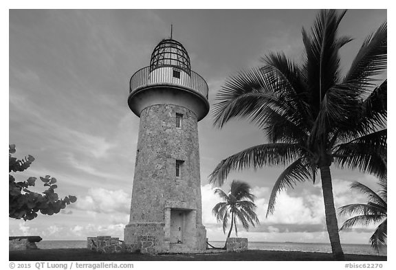 Palm tree and lighthouse, Boca Chita Key. Biscayne National Park (black and white)