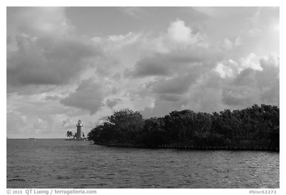 Vegetation and lighthouse, Boca Chita Key. Biscayne National Park (black and white)
