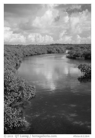 Channel. Biscayne National Park (black and white)