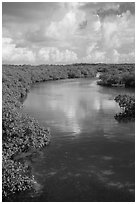 Channel. Biscayne National Park ( black and white)