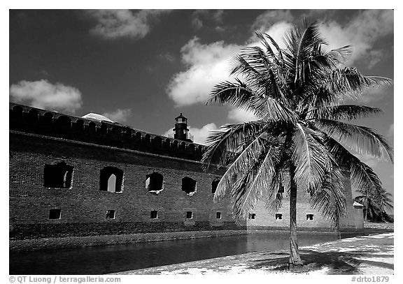 Palm tree and Fort Jefferson. Dry Tortugas National Park, Florida, USA.