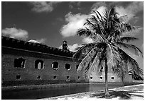 Palm tree and Fort Jefferson. Dry Tortugas National Park, Florida, USA. (black and white)