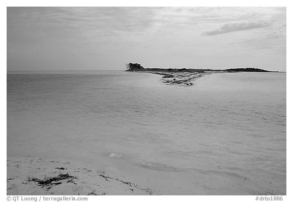 Bush Key seen across the channel from Garden Key in 1998. Dry Tortugas National Park (black and white)
