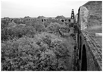 Trees in Fort Jefferson courtyard. Dry Tortugas National Park, Florida, USA. (black and white)