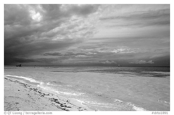 Beach and turquoise waters, Garden Key. Dry Tortugas National Park (black and white)