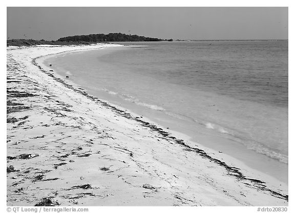 Beach on Bush Key with beached seaweed. Dry Tortugas National Park (black and white)