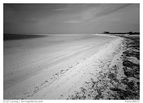Sandy beach and turquoise waters, Bush Key. Dry Tortugas National Park (black and white)