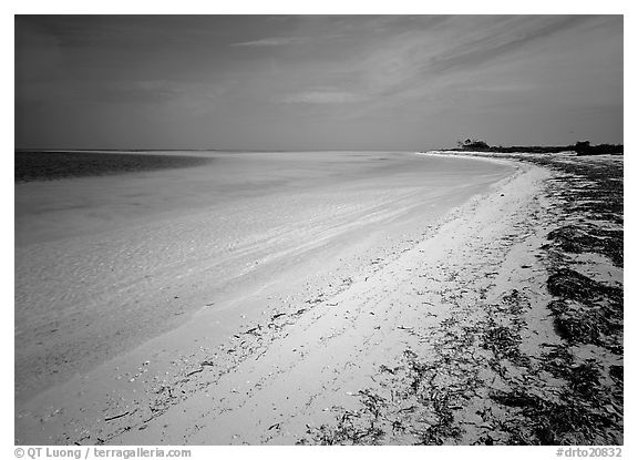 Sandy beach and turquoise waters, Bush Key. Dry Tortugas National Park (black and white)