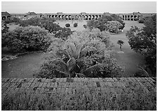 Courtyard of Fort Jefferson with lawn and trees. Dry Tortugas National Park ( black and white)