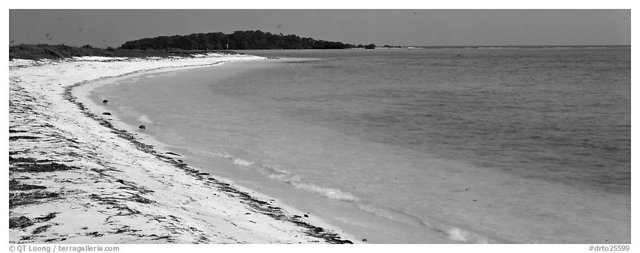 Sandy beach and turquoise waters. Dry Tortugas  National Park (black and white)