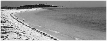 Sandy beach and turquoise waters. Dry Tortugas  National Park (Panoramic black and white)