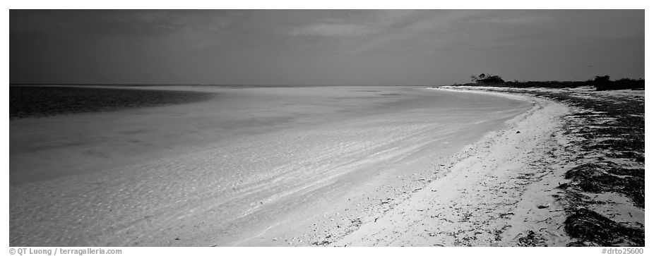 Deserted tropical beach with turquoise water. Dry Tortugas  National Park (black and white)