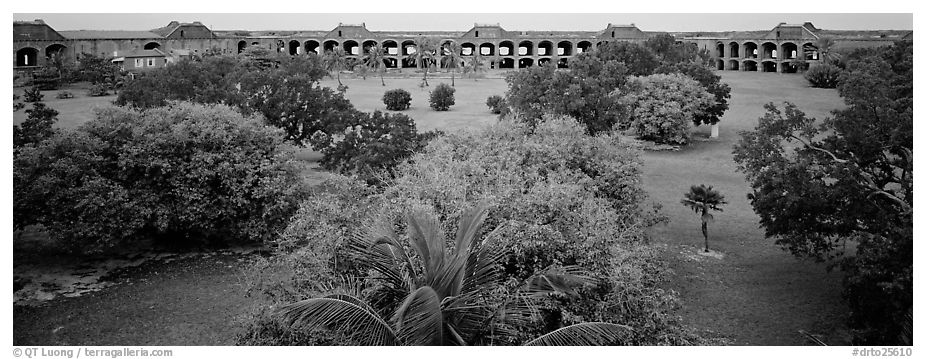 Grassy courtyard of Fort Jefferson. Dry Tortugas  National Park (black and white)