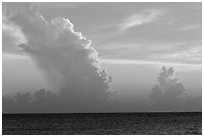 Tropical clouds at sunset. Dry Tortugas National Park, Florida, USA. (black and white)