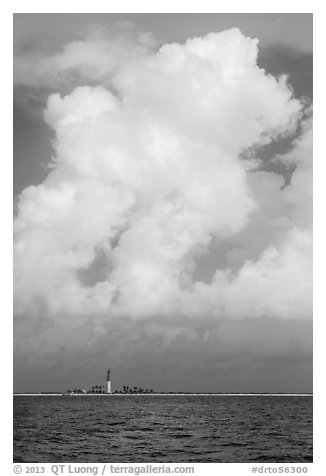 Loggerhead key and lighthouse and tropical cloud. Dry Tortugas National Park (black and white)