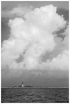 Loggerhead key and lighthouse and tropical cloud. Dry Tortugas National Park ( black and white)