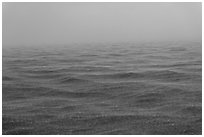 Rain over ocean. Dry Tortugas National Park, Florida, USA. (black and white)