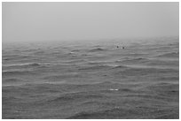 Windjammer wreck sticking out from ocean during rainstorm. Dry Tortugas National Park, Florida, USA. (black and white)