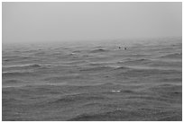 Windjammer wreck sticking out from ocean during rainstorm. Dry Tortugas National Park ( black and white)