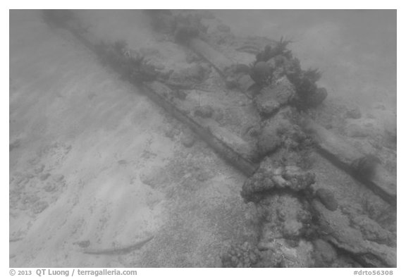 Part of Windjammer wreck on ocean floor. Dry Tortugas National Park, Florida, USA.