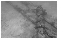 Part of Windjammer wreck on ocean floor. Dry Tortugas National Park, Florida, USA. (black and white)