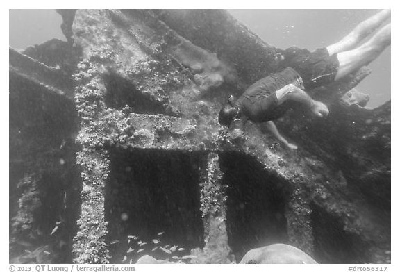 Free diver exploring Windjammer Wreck. Dry Tortugas National Park, Florida, USA.