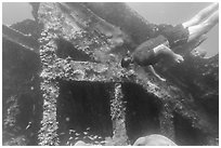 Free diver exploring Windjammer Wreck. Dry Tortugas National Park, Florida, USA. (black and white)