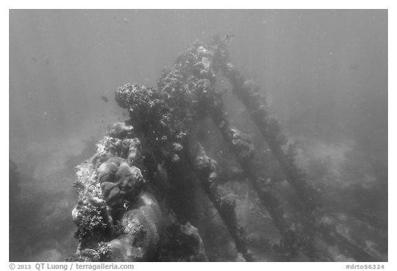 Sunken wreck of Avanti. Dry Tortugas National Park (black and white)