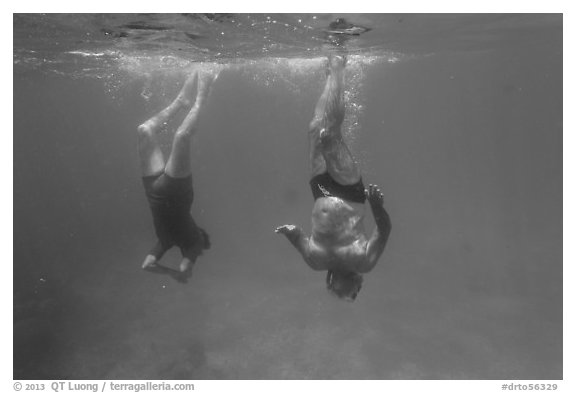 Free divers descending. Dry Tortugas National Park (black and white)