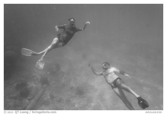 Couple free diving. Dry Tortugas National Park, Florida, USA.