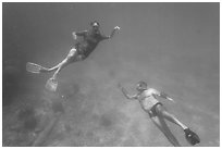 Couple free diving. Dry Tortugas National Park, Florida, USA. (black and white)