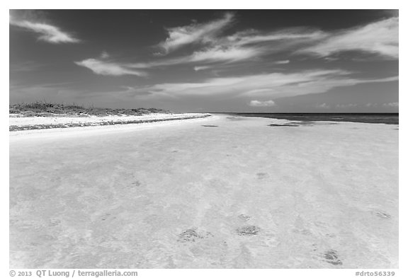 Clear turquoise waters and beach, Loggerhead Key. Dry Tortugas National Park (black and white)