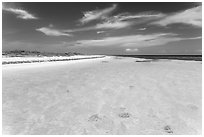 Clear turquoise waters and beach, Loggerhead Key. Dry Tortugas National Park, Florida, USA. (black and white)