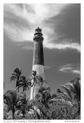 Palm trees and Dry Tortugas Light Station, Loggerhead Key. Dry Tortugas National Park (black and white)