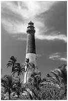 Palm trees and Dry Tortugas Light Station, Loggerhead Key. Dry Tortugas National Park, Florida, USA. (black and white)