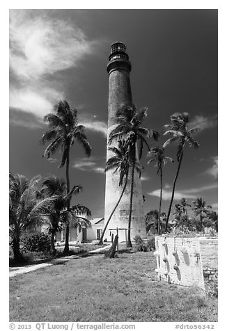 Palm trees, keeper house, and Loggerhead Light. Dry Tortugas National Park (black and white)