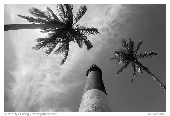 Looking up palm trees and Loggerhead Lighthouse. Dry Tortugas National Park, Florida, USA.