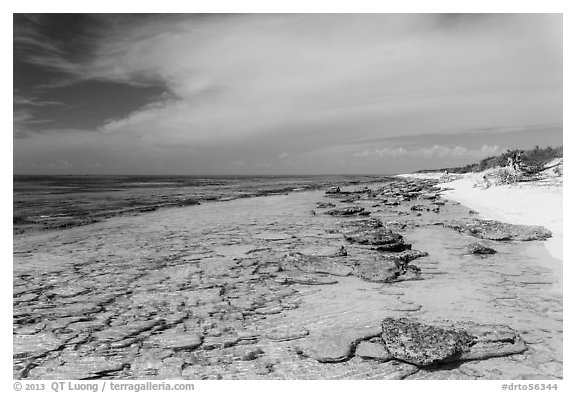 Beach and reef, Loggerhead Key. Dry Tortugas National Park (black and white)