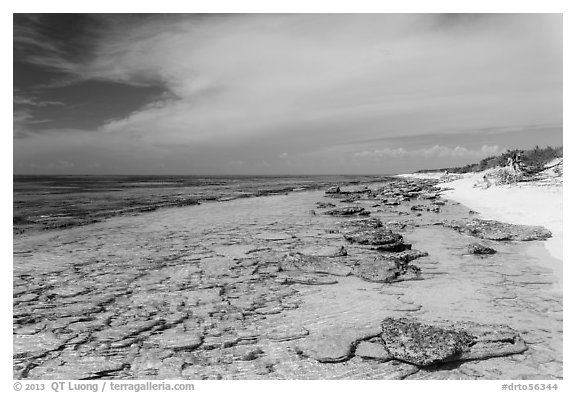 Beach and reef, Loggerhead Key. Dry Tortugas National Park, Florida, USA.