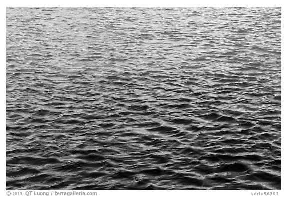 Walls reflections in moat. Dry Tortugas National Park (black and white)