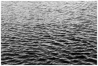 Walls reflections in moat. Dry Tortugas National Park ( black and white)