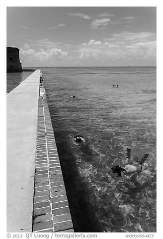 Snorkelers next to Fort Jefferson seawall. Dry Tortugas National Park, Florida, USA.