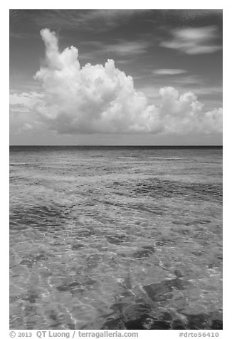 Reef and tropical clouds. Dry Tortugas National Park (black and white)
